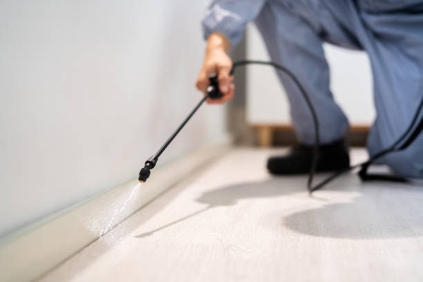 Professional exterminator conducting IPM assessment in Woodworth