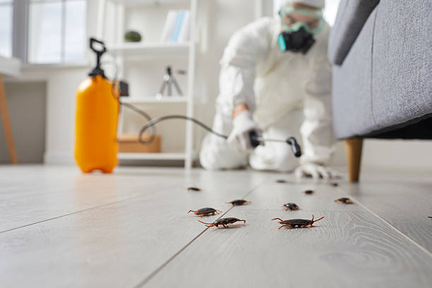 Commercial Kitchen Cockroach Control in Woodworth